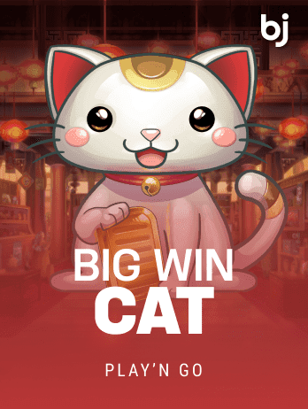 Big Win Cat screenshot